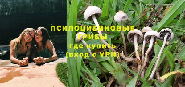 бутират Белокуриха