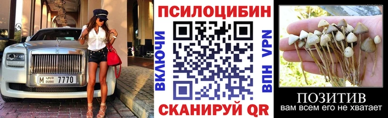 kraken ссылки  дарнет шоп  Белгород  Галлюциногенные грибы GOLDEN TEACHER 